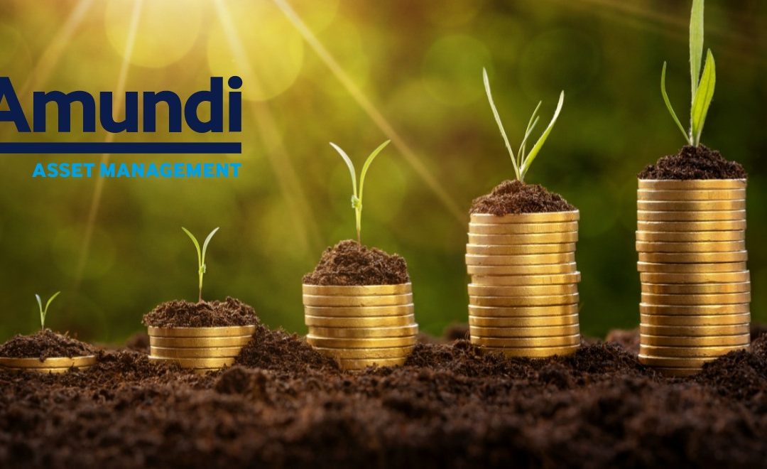 Amundi: Nabízíme investiční řešení na míru pro drobné klienty i korporace