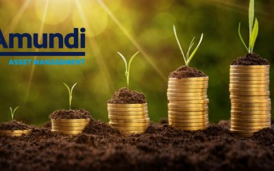 Amundi: Nabízíme investiční řešení na míru pro drobné klienty i korporace